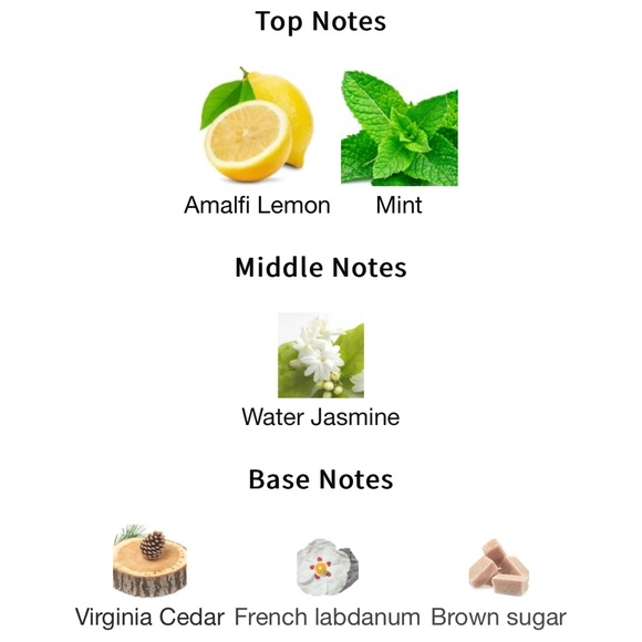 Giorgio Armani Acqua di Gioia Eau de Parfum. 2ml Sample - Picture 4 of 4